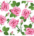 pink roses and leaves seamless pattern vector image