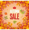 autumn sale advertising poster vector image vector image