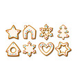 christmas gingerbread cookies winter glazed vector image