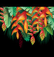 tropical plants heliconia and flowers vector image