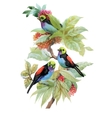berries and birds watercolor floral vector image