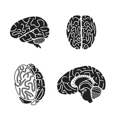 Brain icon set simple style Royalty Free Vector Image