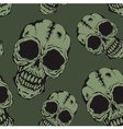 pattern skull vector image