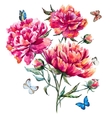 watercolor peony vector image