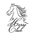 horse club logo vector image vector image