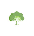 green creative oak tree logo vector image
