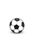 soccer ball on a white background vector image