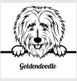goldendoodle - peeking dogs breed face head vector image