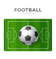 football playground 3d green soccer field vector image