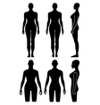 woman mannequin outlined silhouette torso vector image