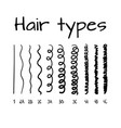 hair types chart with all vector image vector image