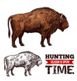 hunting time sketch poster with buffalo vector image vector image