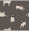 seamless pattern with pug dog vector image vector image