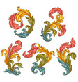 decorative set of floral elements in baroque style vector image