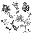 flower branches black outline set vector image