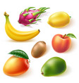 realistic fresh exotic whole fruits set vector image