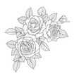 beautiful black and white bouquet rose and leaves vector image vector image