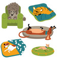 dogs sleeping on the beds vector image