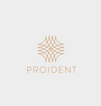 universal linear logo abstract net luxury vector image