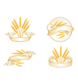 wheat label collection vector image