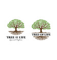 tree of life logo design template inspiration vector image