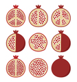 pomegranate cuts vector image vector image