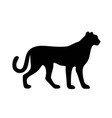 cheetah silhouette image vector image vector image