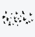 silhouette of a flock birds black contours vector image
