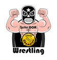 mexican wrestler battle acrobat fighter lucha vector image