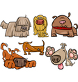 funny dogs set cartoon vector image