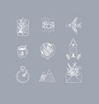 hand made floral icons travel grey vector image