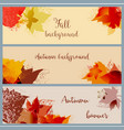 fall leaf banner set autumn in bright foliage vector image vector image