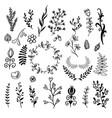 a set hand-drawn plants doodle vector image vector image