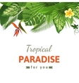 tropical background vector image