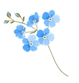linen flower vector image vector image