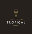 palm tree golden logo coconut leaf logo vector image vector image