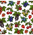 seamless pattern of berries with leaves sketches vector image vector image