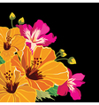 beautiful floral pattern hand-drawing vector image