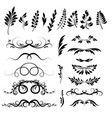 set plant elements doodle vector image vector image