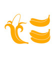 banana vector image