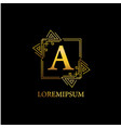 frame ornament and initial logo design ready vector image vector image