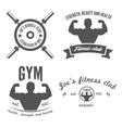 set of vintage logo badge emblem or logotype vector image