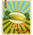 corn retro poster vector image