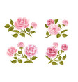 rose buttonholes vector image vector image