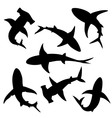 shark silhouettes vector image