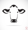 cow vector image