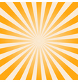 sunburst background vector image