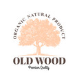 old tree with text emblem on white background vector image vector image