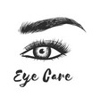 beauty lash and brow studio logo typography vector image