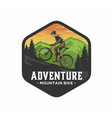 mountain bike logo vector image